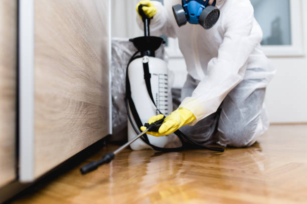 Best Mosquito Control Services  in Bay City, OR