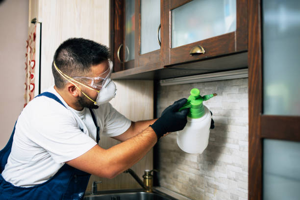 Best Affordable Pest Control Services  in Bay City, OR