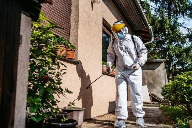 Reliable Bay City, OR Pest Control Solutions