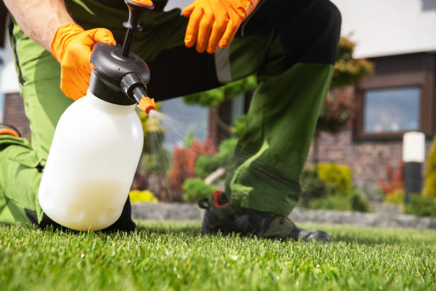 Best Insect Control  in Bay City, OR