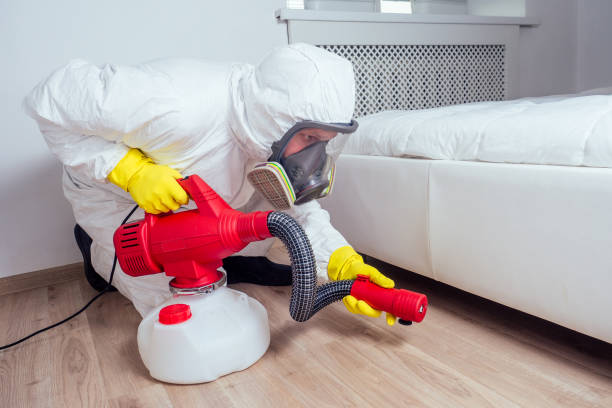 Best Termite Control Services  in Bay City, OR