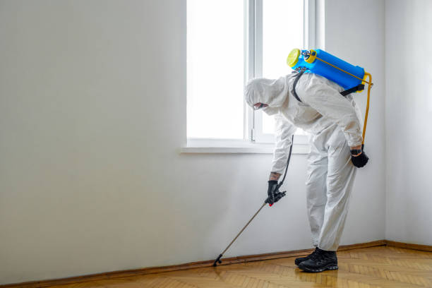 Wildlife Control Services in Bay City, OR