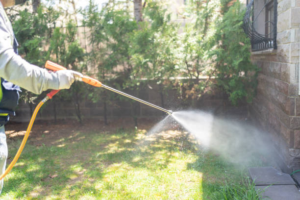 Best Termite Control Services  in Bay City, OR